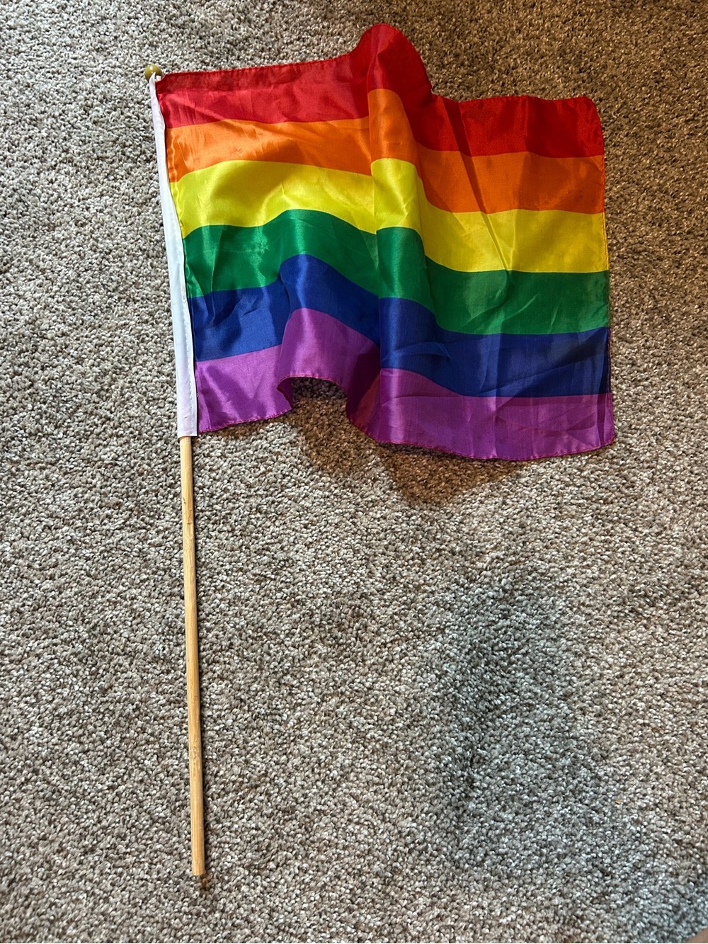 Large Rainbow Gay Pride Hand Flag - Multicolor